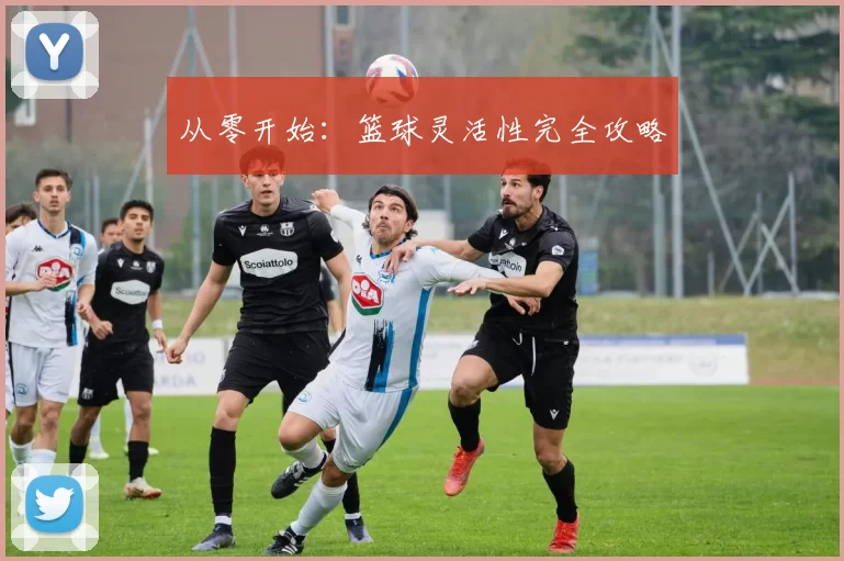 从零开始：篮球灵活性完全攻略