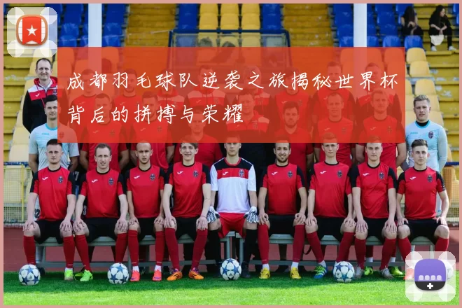 成都羽毛球队逆袭之旅揭秘世界杯背后的拼搏与荣耀