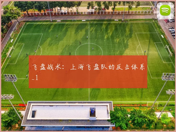 飞盘战术：上海飞盘队的反击体系_1