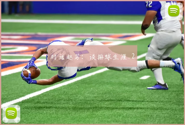 对话赵芳：谈排球生涯_2