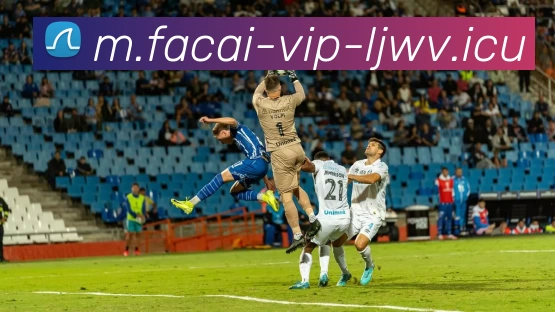 乐竞体育平台生态图